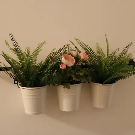 ゲストハウス Clesio 2